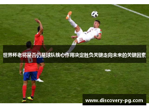 世界杯老将是否仍是球队核心作用决定胜负关键走向未来的关键因素